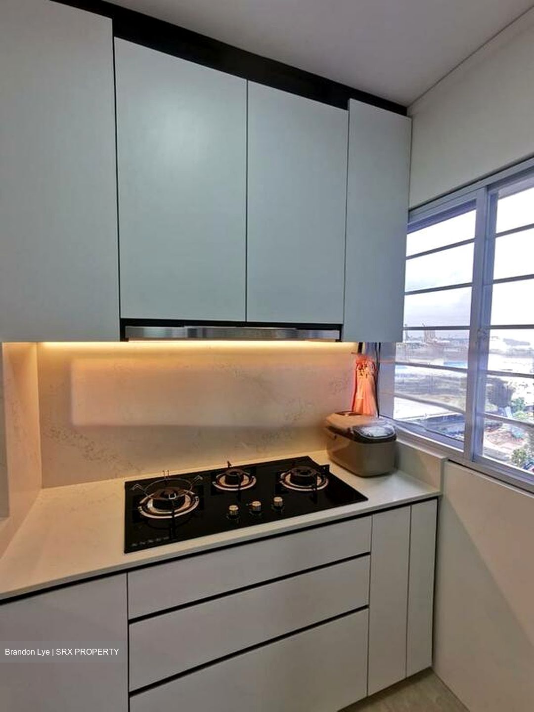 Blk 19 Cantonment Towers (Bukit Merah), HDB 4 Rooms #502270111